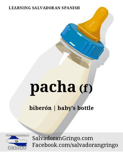 pacha - baby's bottle